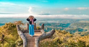 Wajib Dikunjungi 4 Tempat Wisata di Purwokerto Hits dan Instagramable