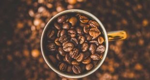 Rekomendasi Coffee Shop Jakarta Lengkap Paket Training, Paket Usaha dan Wisata Kopi
