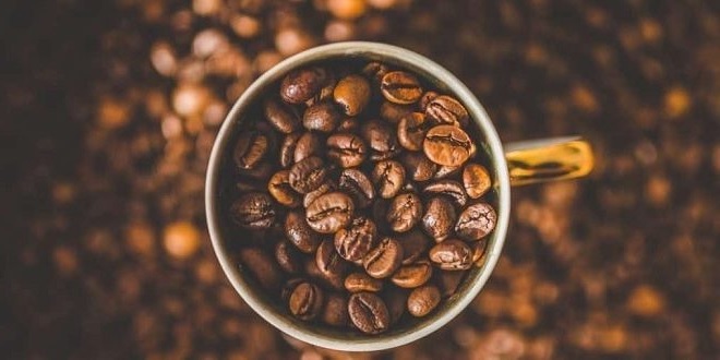 Rekomendasi Coffee Shop Jakarta Lengkap Paket Training, Paket Usaha dan Wisata Kopi