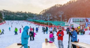 Menikmati Musim Salju di Korea Selatan Tips dan Rekomendasi Tempat Terbaik