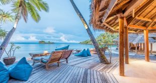 Rekomendasi Hotel di Raja Ampat yang Bikin Liburan Kamu Makin Seru