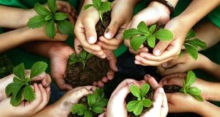 DLH Provinsi Aceh Tugas Peran dan Cara Masyarakat Bisa Terlibat
